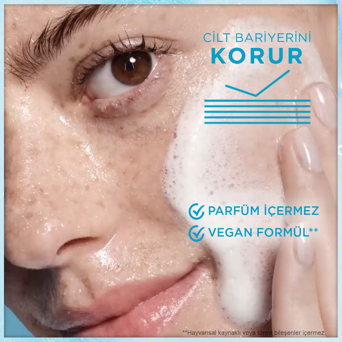 Garnier Saf&Temiz Nemlendiren Temizleyici 250 ml