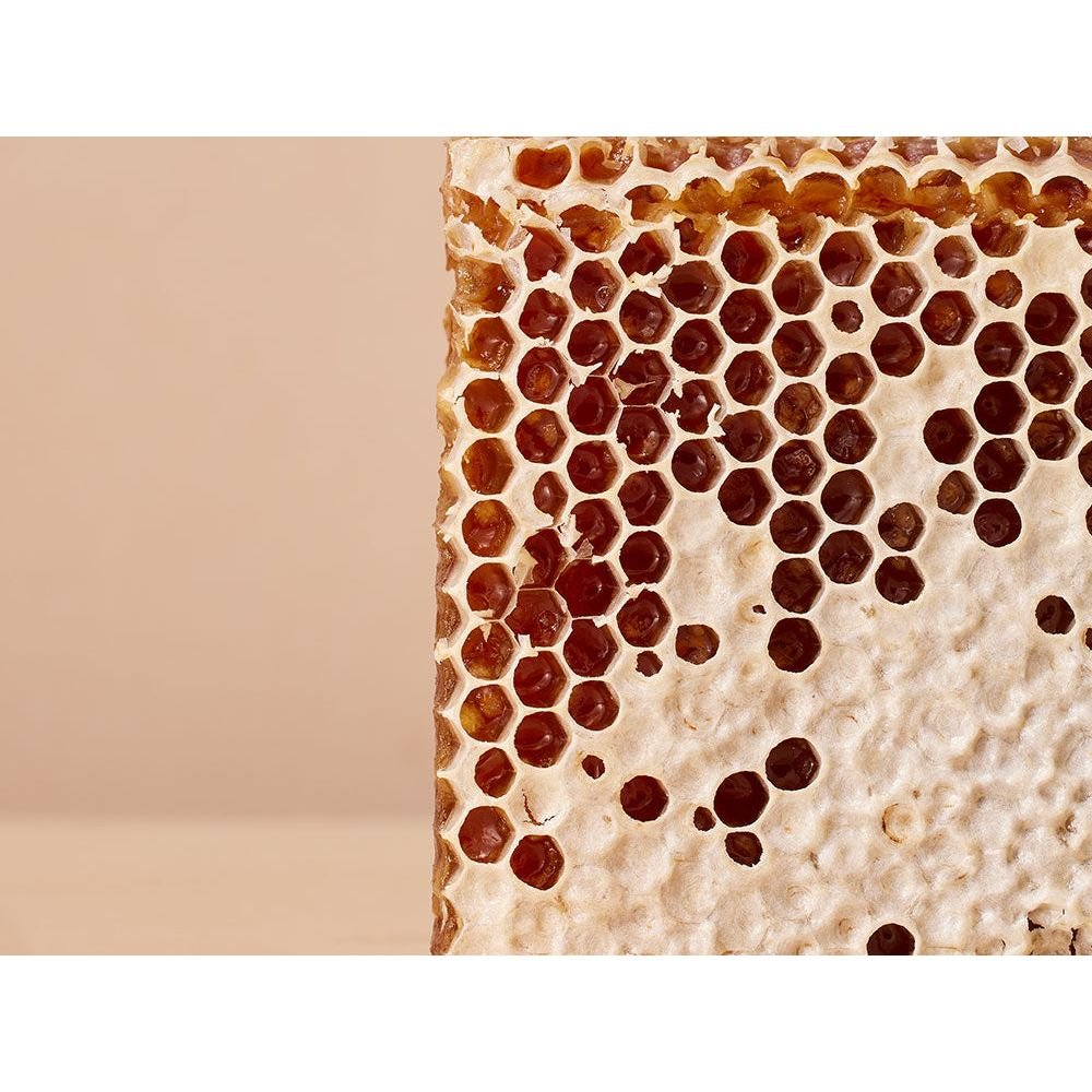 Mustela Nourishing Cleansing Gel With Cold Cream Şampuan 300 ml