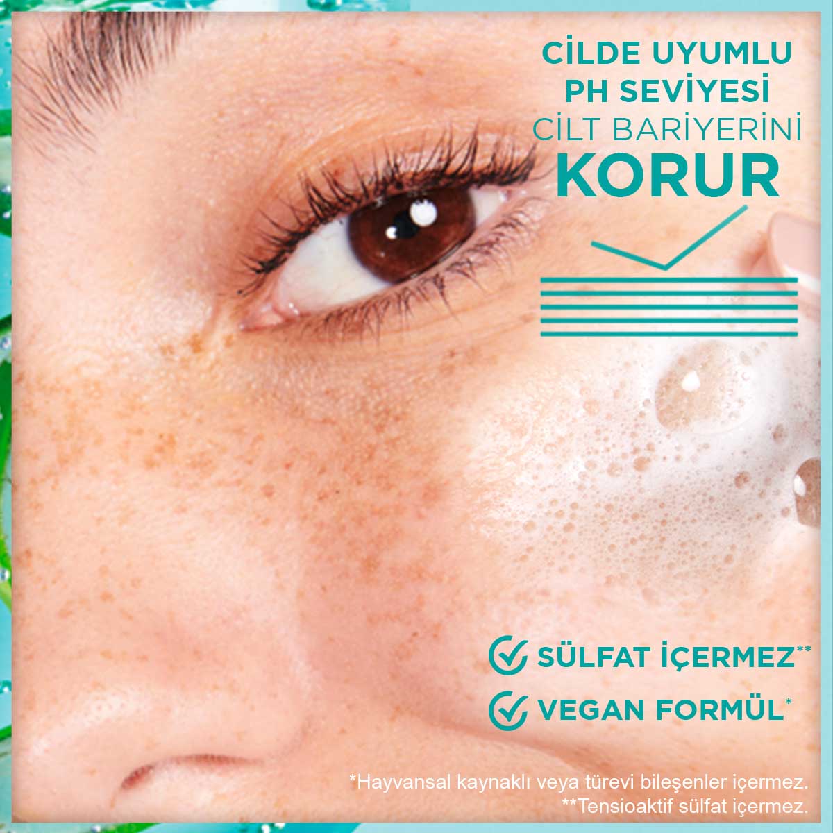 Garnier Hyaluronik Aloe Nemlendiren ve Yatıştıran Temizleyici 250 ml